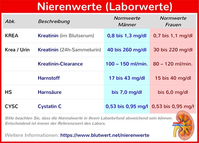 Nierenwerte Tabelle