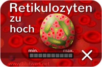 Zu viele Retikulozyten, Blutwert erhöht, zu hoch