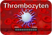 Thrombozyten (Blutplättchen)