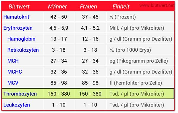 Thrombozyten Normalwerte, gehören zum Kleinen Blutbild
