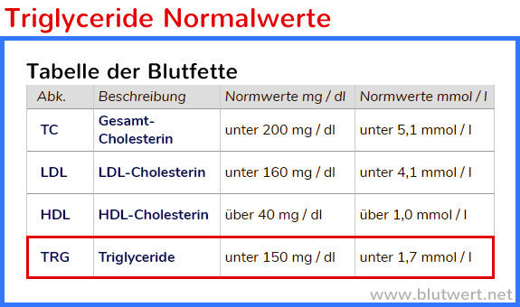 Triglyceride Erh ht zu Hoch Was Nun 
