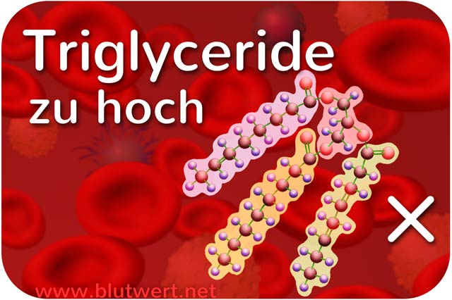 Triglyceride erhöht (zu hoch)
