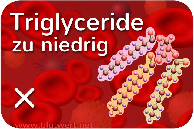 Triglyceride vermindert (zu niedrig)