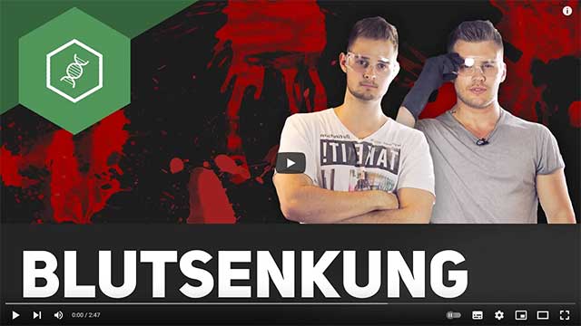 Was ist eine Blutsenkung? – Video