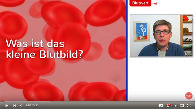 Das kleine Blutbild