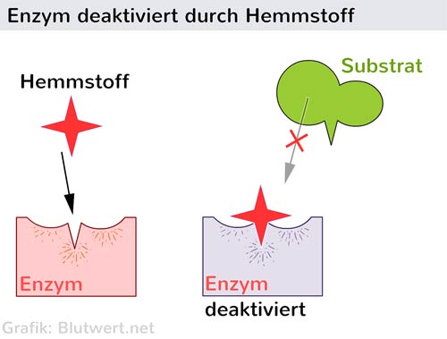 Enzym durch Hemmstoff deaktiviert