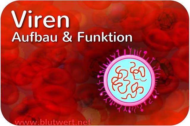 Viren - Gefahr?